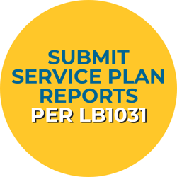 LB1031 Service Plan Report link